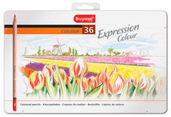Карандаши цветные Bruynzeel Expression набор 36цв. в метал кор 7705M36