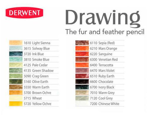 Олівці кольорові воско-масл. 12шт. Derwent Drawing D-0700671