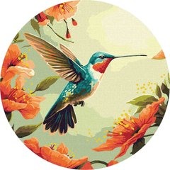 Картина раскраска по номерам на холсте d-39см Идейка КНО-R1045 Красочная колибри