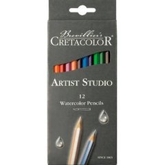 Набір акварельних олівців CRETACOLOR Artist Studio 12шт. карт. корб 28112
