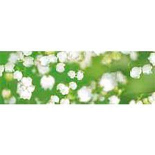 Картон URSUS А4 300г ФЛОРА Ландиши UR-53134605R