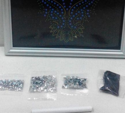 Набор для творчества DankoToys DT DAR-01-05 Diamond Art Картина со стразами Конь