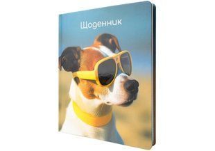 Школьный дневник Maxi А5+ 48л. MX29917
