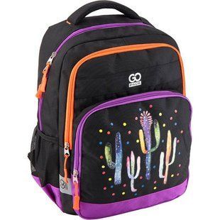 Рюкзак (ранец) школьный GoPack GO19-113M-1