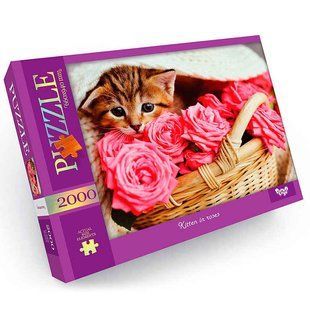 Пазлы DankoToys 2000 эл. DT C2000-01-05 660*940