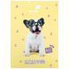Щоденник шкільний Kite мод 262 Studio Pets SP26-262-1