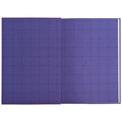 Щоденник шкільний Kite мод 262 Break K26-262-10