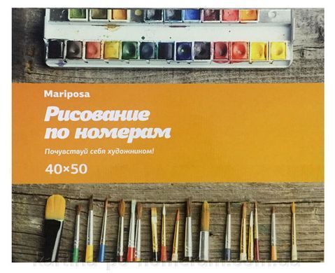 Картина по номер. на холсті 40*50см Mariposa Q2079 Женственность