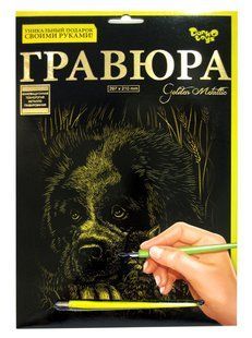 Набір для творчості DankoToys DT ГР-А4-02-11з Гравюра Пес з кошенятами