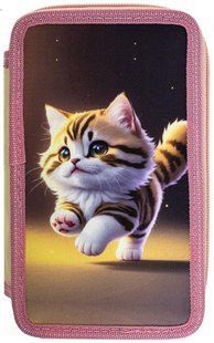 Пенал 2М Class б/н 25304C Kitty