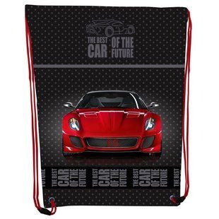Сумка для взуття Class 210D PL 46*33см Redr Car 2131C