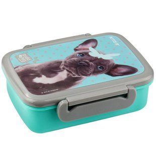 Школьный ланчбокс Kite мод 160 SP19-160 Studio Pets