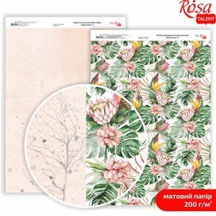 Папір для дизайну Rosa Talent А4 200г/м матовий двостор. King Protea-3 5311178