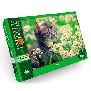 Пазлы DankoToys 1000 эл. DT C1000-12-03 680*475