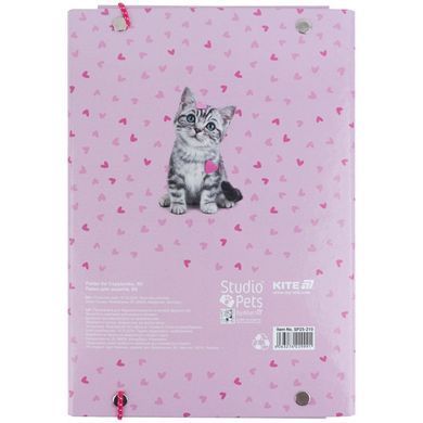 Папка для зошитів B5 Kite мод 210 картонна на гумці Studio Pets SP25-210