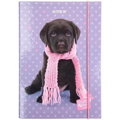 Папка для тетрадей B5 KITE мод 210 плотный картон на резинке Studio Pets SP23-210