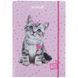 Папка для зошитів B5 Kite мод 210 картонна на гумці Studio Pets SP25-210
