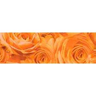 Калька URSUS А4 115г/м РОЗЫ Абрикосовий UR-50614603R