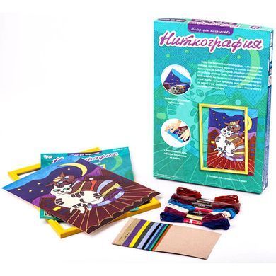 Набор для творчества DankoToys DT NG-01-03 ниткография