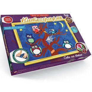 Набір для творчості DankoToys DT NG-01-04 ниткографія